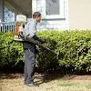 Terminix - Pest Control Services in Wando, SC