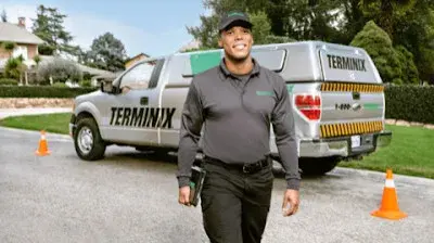 Terminix - Pest Control Services in Gastonia, NC