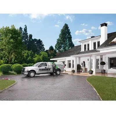 Terminix - Pest Control Services in Paducah, KY