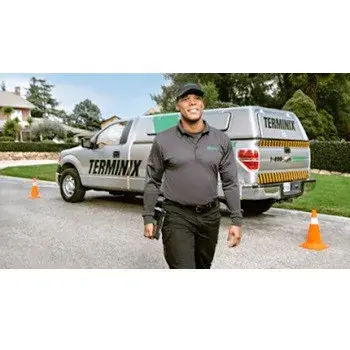 Terminix - Pest Control Services in Spruce Pine, NC