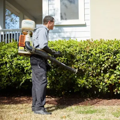 Terminix - Pest Control Services in Waynesville, NC