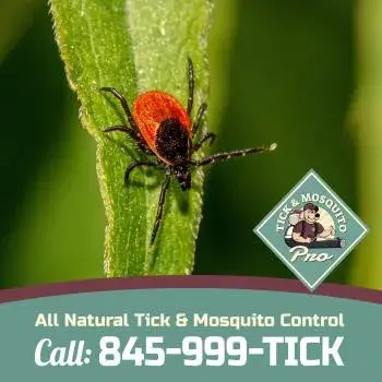 Tick & Mosquito Pro - Pest Control Services in Middletown, NY