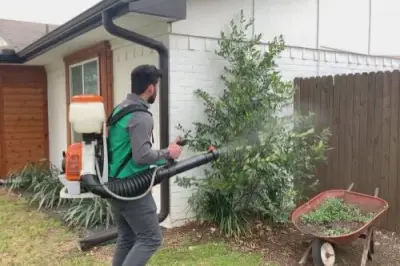Vinx Pest Control - Pest Control Services in Greer, SC