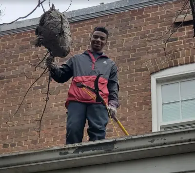 Bradford Pest Control of VA Inc. - Pest Control Services in Fredericksburg, VA