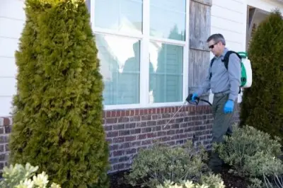 Waynes Pest Control - Pest Control Services in Chattanooga, TN