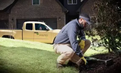 Waynes Pest Control - Pest Control Services in Chattanooga, TN