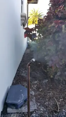 WellingtonEmployment110 — Pest Control Services project by Swat Mosquito Systems