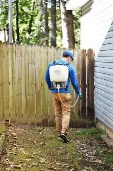 West Termite, Pest & Lawn - Pest Control Services in Hot Springs, AR