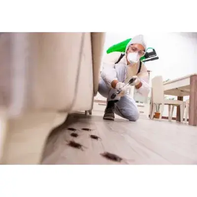 Whaling City Pest Services - Pest Control Services in New Bedford, MA