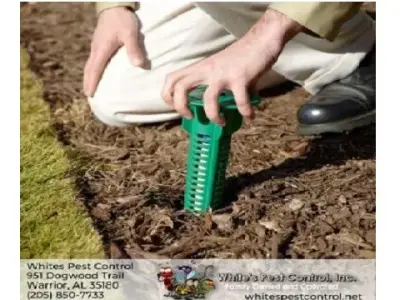 Whites Pest Control - Pest Control Services in Warrior, AL