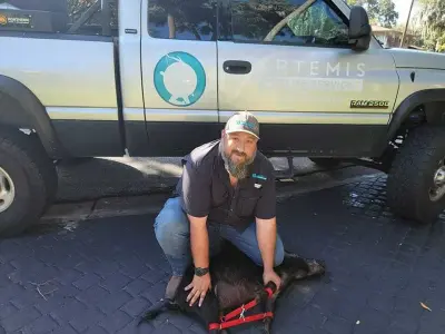 Artemis Wildlife Services LLC - Pest Control Services in West Melbourne, FL