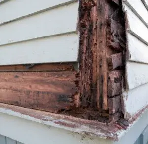 Nixtermite Inc. - Carpentry & Woodworking in Bonita, CA