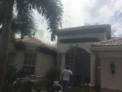 Decorative Foam and Stone - Pest Control Services in Fort Myers, FL