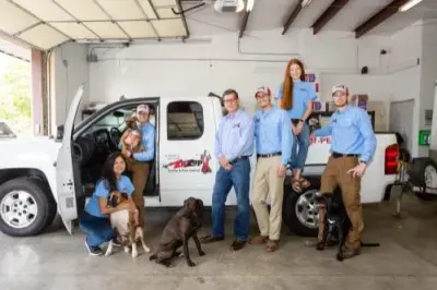 ZipZap Termite & Pest Control - Pest Control Services in Lawson, MO