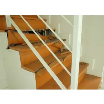 Opelika Termite Control Pro - Pest Control Services in Opelika, AL