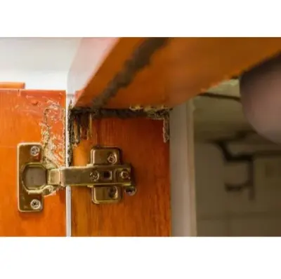 Opelika Termite Control Pro - Pest Control Services in Opelika, AL