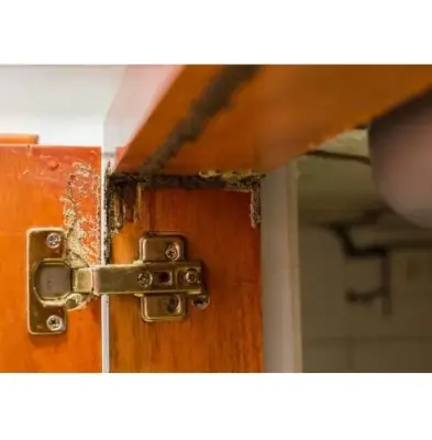 Prattville Termite Control Service - Pest Control Services in Prattville, AL