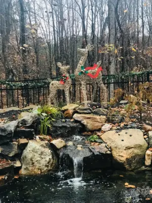 Holiday Decorating Project 2019 — Interior Design & Decorating project by JACE Interiors, LLC