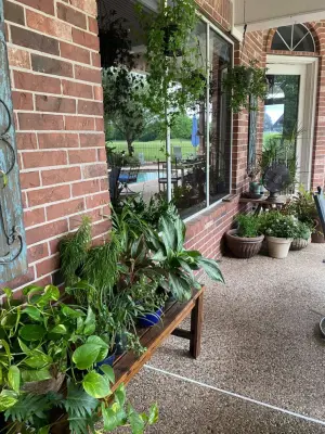 Debi Lynn Interior Designs, LLC - Professional Home Organizers in Houston, TX