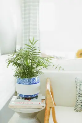 Cecely Interiors - Interior Design & Decorating in Hudson, WI