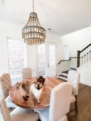 Danielle Werley - Lead Designer at Ethan Allen - Window Installation & Replacement in Myrtle Beach, SC