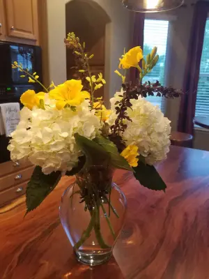 Definite Designs, LLC - Professional Home Organizers in Hudson, CO