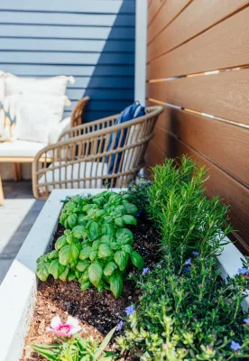 Pool Oasis & Decking in a Small Space by Gardens Of Babylon Landscapes