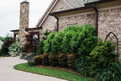 Expansive Perennial Cottage Garden | Nashville, TN — Landscape Construction project by Gardens Of Babylon Landscapes in Nashville