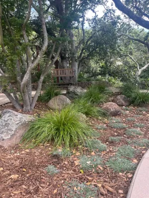 Gary Torney Landscaping Co. - Landscape Construction in Kentfield, CA