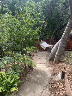 Gary Torney Landscaping Co. - Landscape Construction in Kentfield, CA