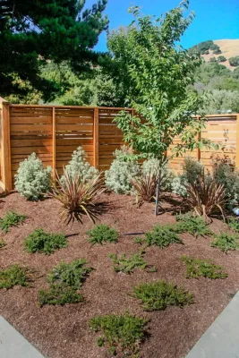 San Rafael Eichler Oasis — Landscape Construction project by Gary Torney Landscaping Co. in San Rafael