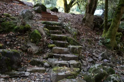A Creek Runs Through It by Geared For Growing Landscape Services