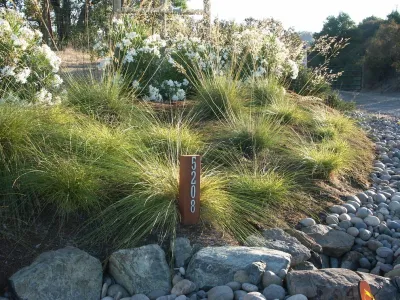Dry Creek Valley Hillside — Landscape Construction project by Geared For Growing Landscape Services in Healdsburg