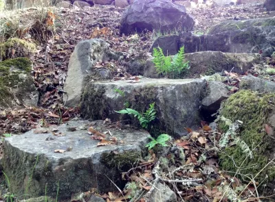 Geared for Growing Landscape Services - Irrigation System Repair in Healdsburg, CA