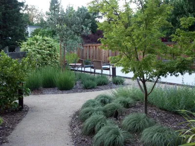 Montecito Meadows Koi Pond — Landscape Construction project by Geared For Growing Landscape Services in Santa Rosa