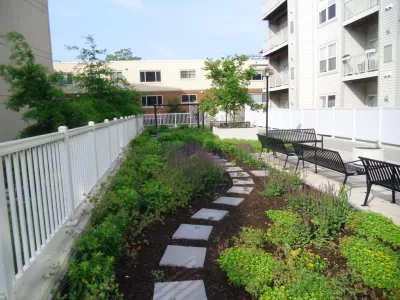 Green Roofs — Landscape Construction project by Green Spaces Landscaping