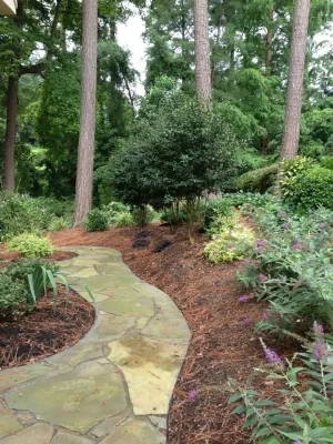 Brier Creek Project 2 — Landscape Construction project by DesignScapes Of North Carolina, Ltd. in Raleigh