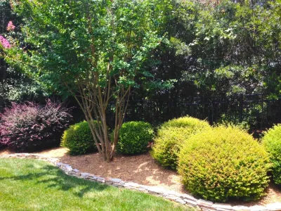 Six Forks Subdivision — Landscape Construction project by DesignScapes Of North Carolina, Ltd. in Raleigh