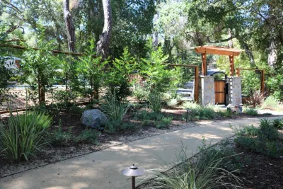 Dinsmore Landscape Company - Landscape Maintenance in Campbell, CA