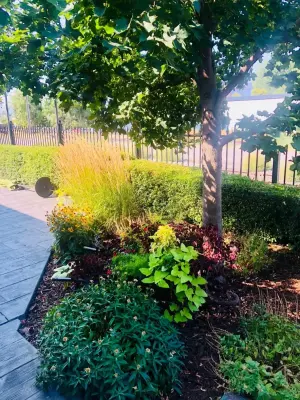 Milieu Design - Design-Build Services in Logan, UT