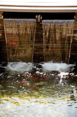 Princeton, NJ by Doerler Landscape & Hidden Springs Irrigation