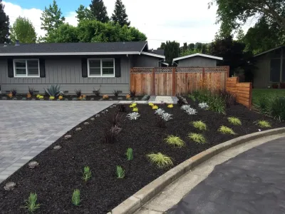 Modern Driveway and Front Yard Danville, CA — Landscape Construction project by DPG Pavers And Design