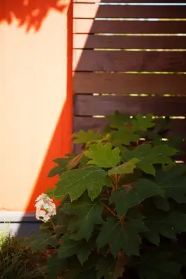 InsideOut Design, Inc. - Patio Design & Installation in Oakland, CA