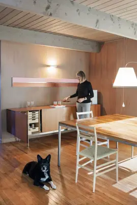 Mid-Century Modern Residence — Architectural & Building Design Services project by Bower Leet Design