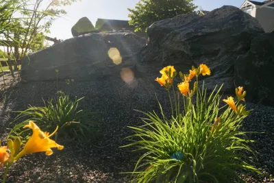 Duke's Landscape Company - Landscape Maintenance in Golden, CO