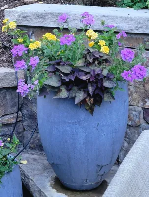 Earth Songs Gardening - Tree & Shrub Care in Avon, CO