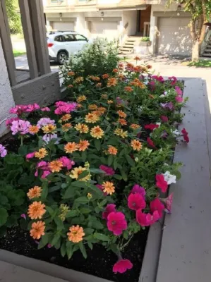 Large Planter from Edwards — Landscape Construction project by Earth Songs Gardening