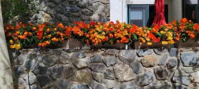 Container Gardens 2023 — Landscape Construction project by Earth Songs Gardening