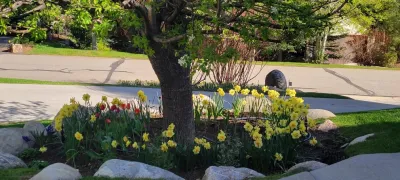 Earth Songs Gardening - Tree & Shrub Care in Avon, CO