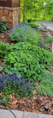 Gardens 2023 — Landscape Construction project by Earth Songs Gardening in Eagle